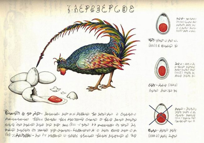 Codex Seraphinianus — энциклопедия на неизвестном языке