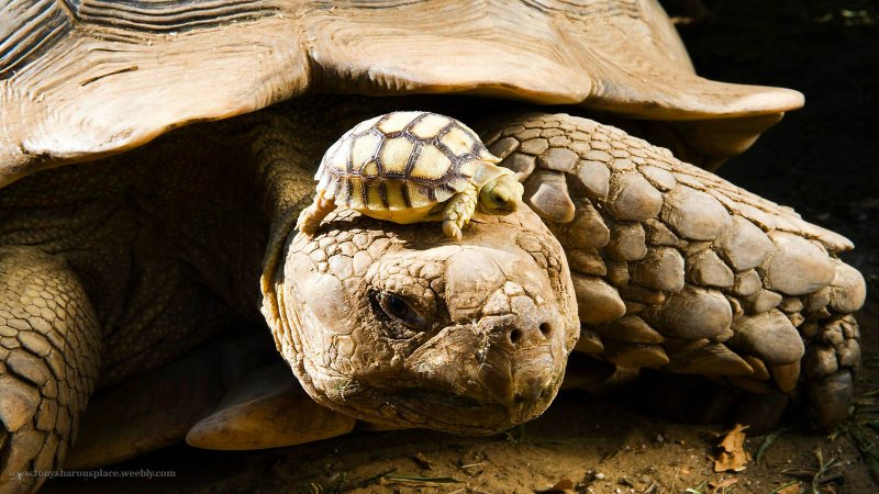 23 мая - история и необычные праздники в этот день