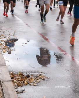 Бокельский марафон (Bokeski maraton) в Черногории — маршрут, мой отзыв о забеге и советы для бегунов