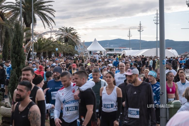 Бокельский марафон (Bokeski maraton) в Черногории — маршрут, мой отзыв о забеге и советы для бегунов