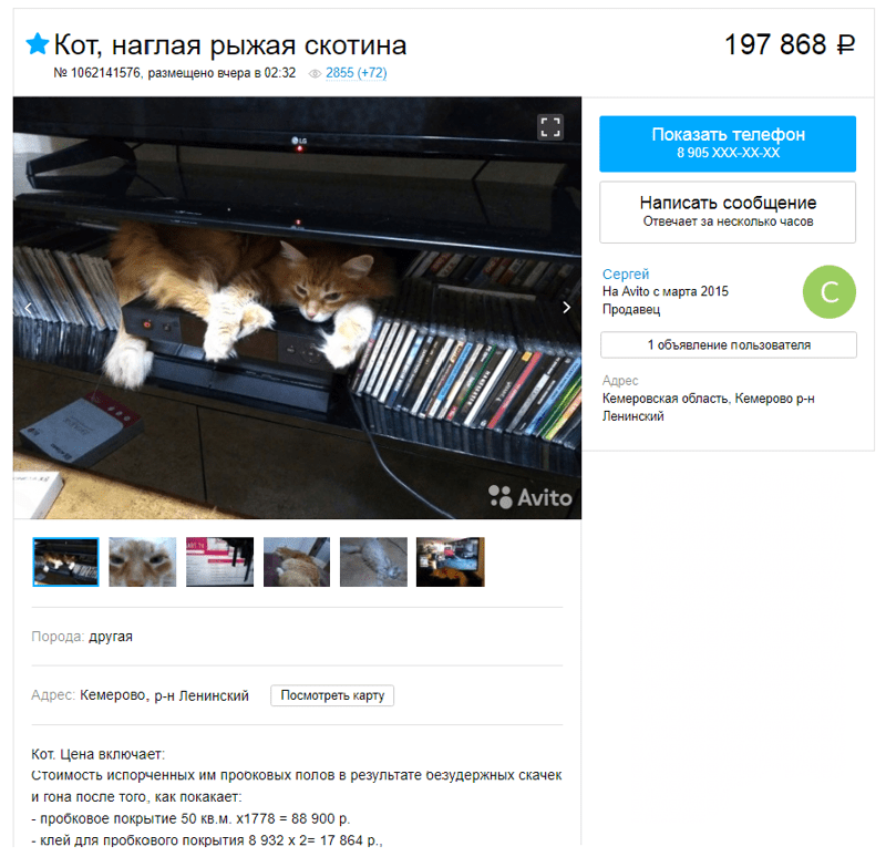 "Лапти из целлофана, лифт с пробегом": 20 самых весёлых объявлений с Авито