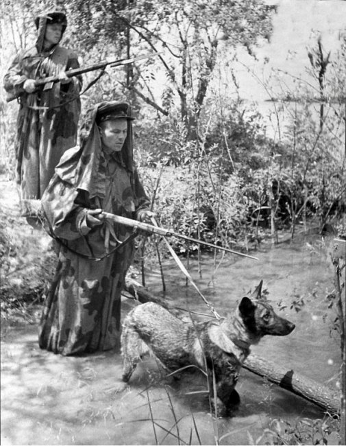 Начало Великой Отечественной войны - 22.06.1941 год (15 фото)