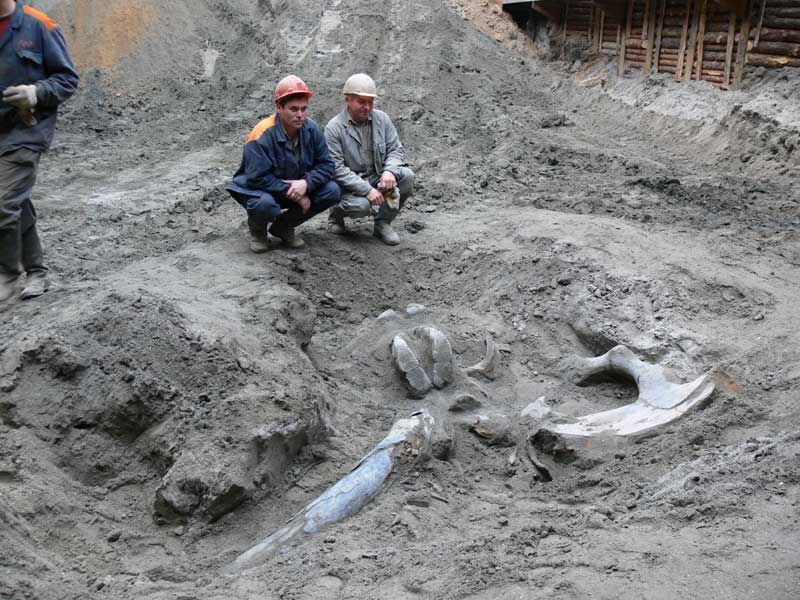 Интересные факты о Минске  (10 фото)