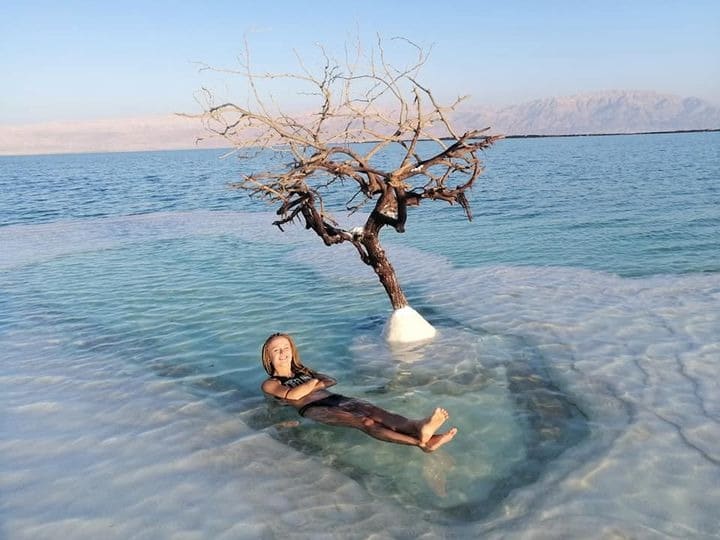 Дерево жизни: тайна одинокого растения посреди Мертвого моря