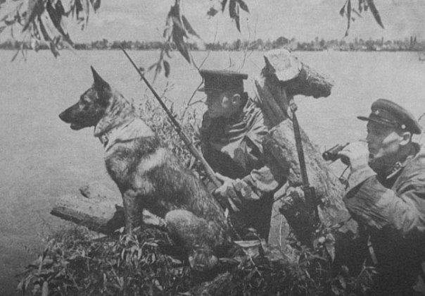 Начало Великой Отечественной войны - 22.06.1941 год (15 фото)