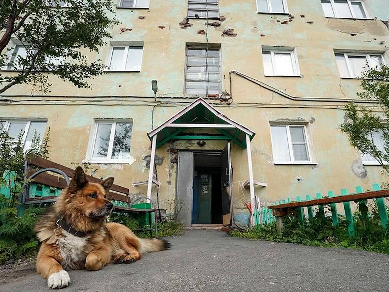 Россиянка пожила за границей и описала порядки на родине словами «противно вспоминать»