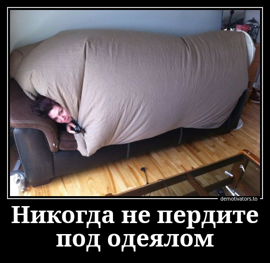 Демотиваторы дня