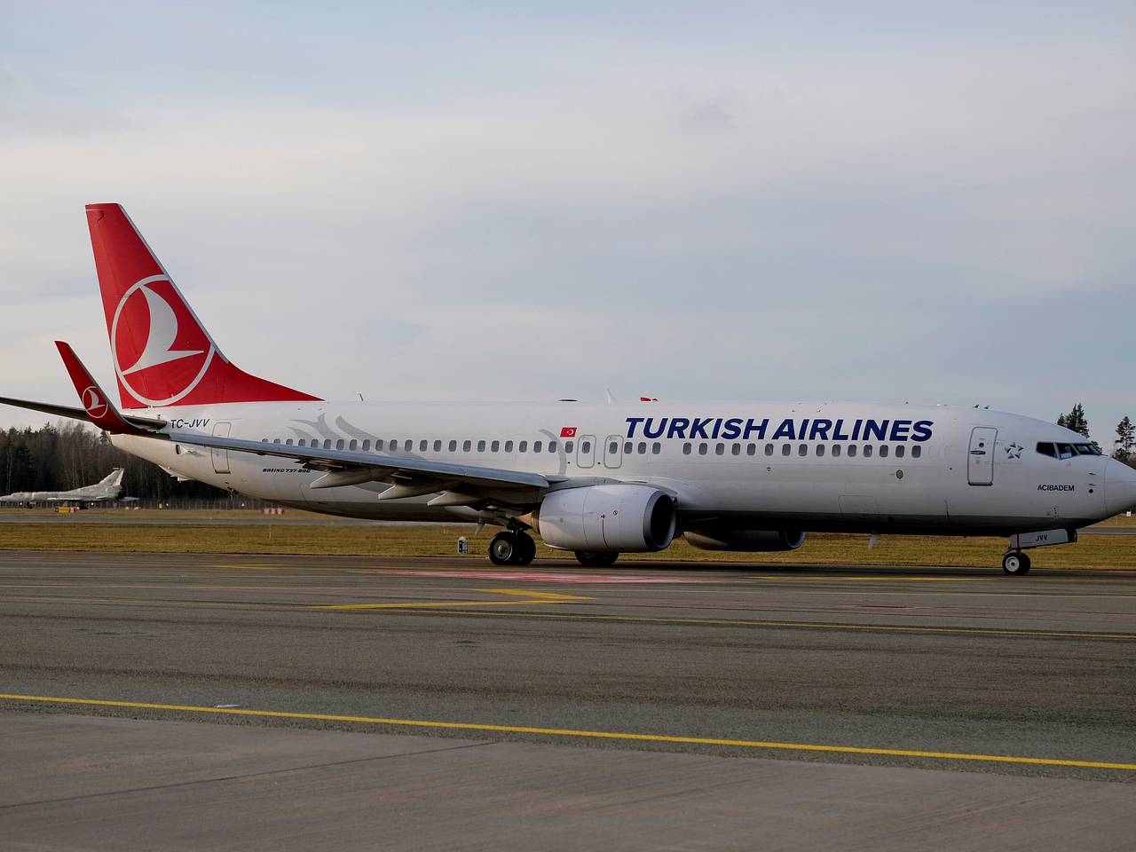 Во Внуково назвали причину задержки багажа туристов Turkish Airlines