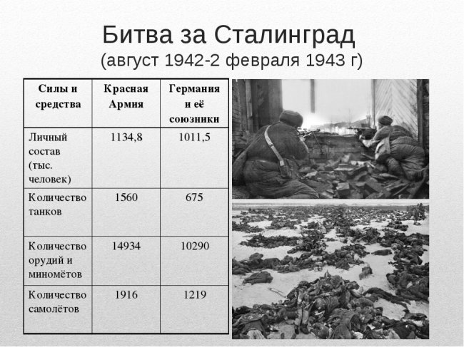 Интересные факты о Волгограде