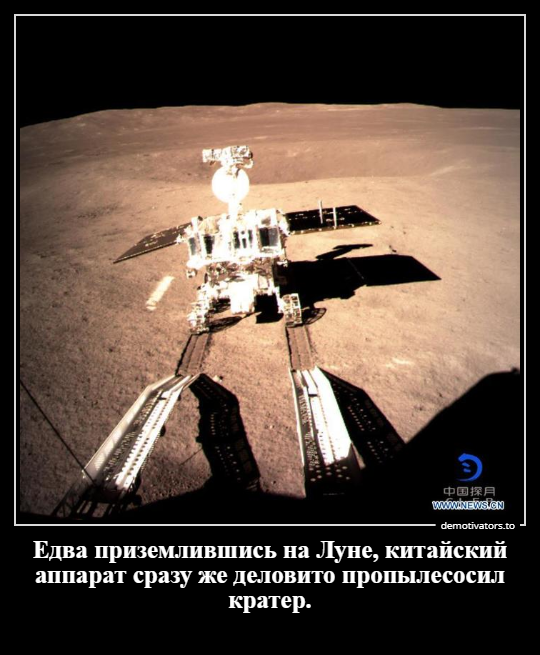 Демотиваторы дня
