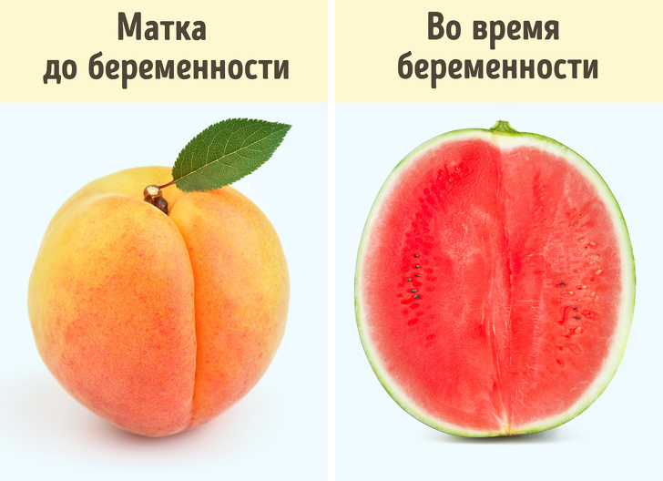 9 странных, но правдивых фактов о беременности
