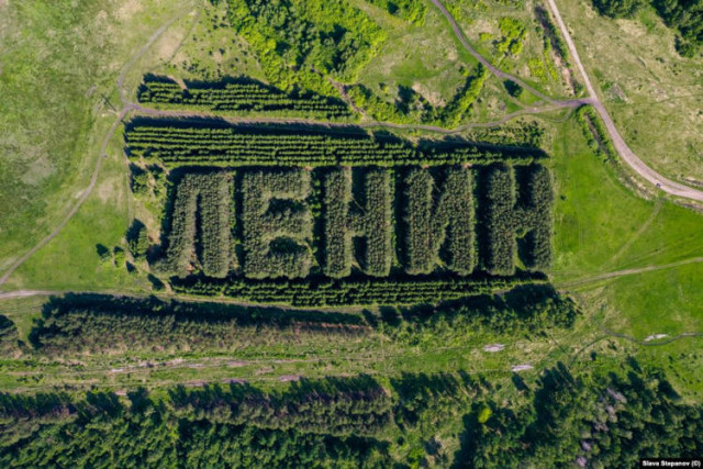 Дрон-фотограф запечатлел искусственный лес, высаженный словом "Ленин" (3 фото)