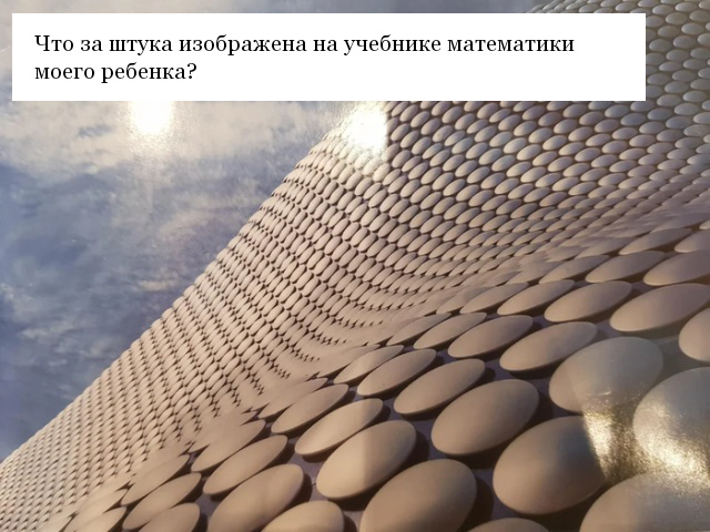 "Что это такое?" (12 фото)