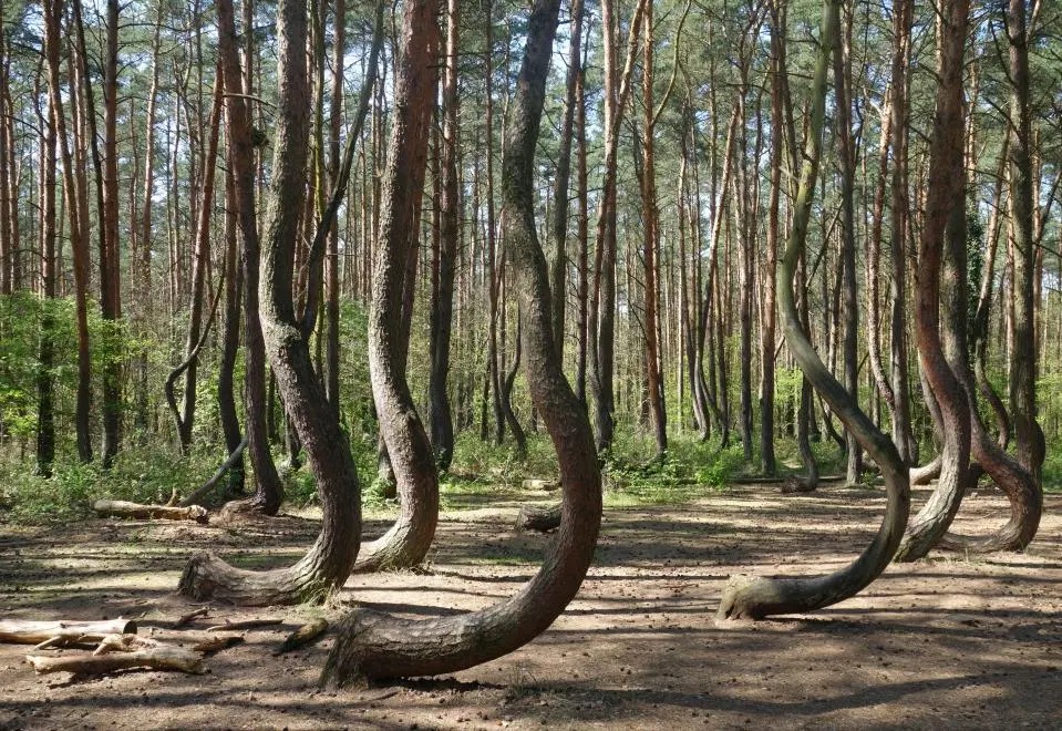 Лучший художник — природа, потрясающе красивые места в разных уголках планеты