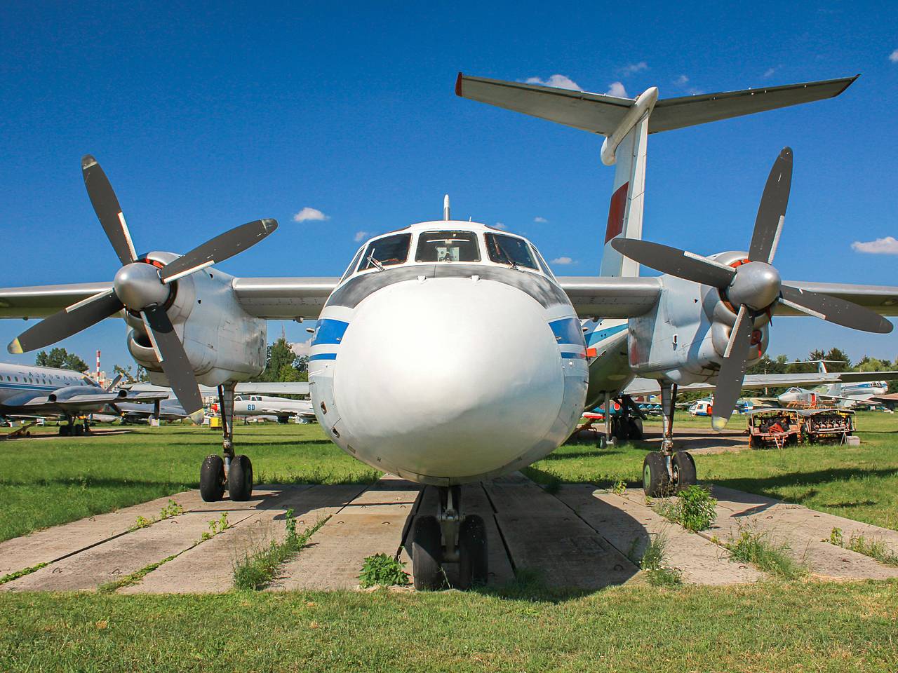 Самолет Ан-24 с десятками пассажиров на борту пропал с радаров при заходе на второй круг