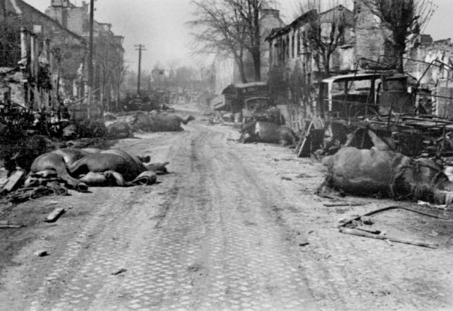 Фотографии Великой Отечественной войны 1945 года (86 фото)