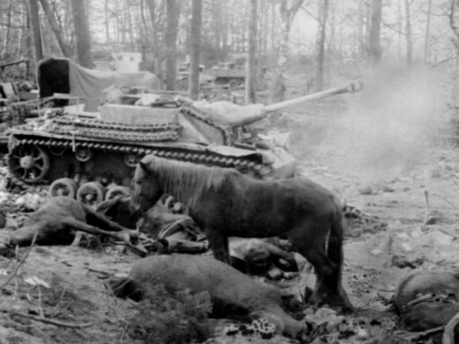 Фотографии Великой Отечественной войны 1945 года (86 фото)