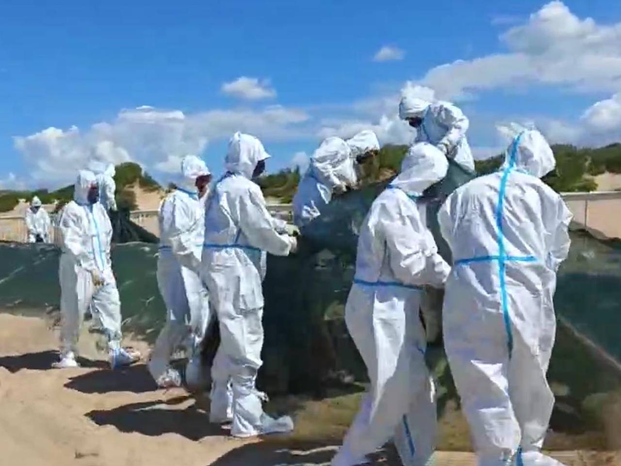 В Анапе преступили к демонтажу защитного вала и очистке пляжей