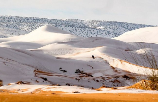 Пока мы ждём снега, он выпадает в Сахаре (13 фото)