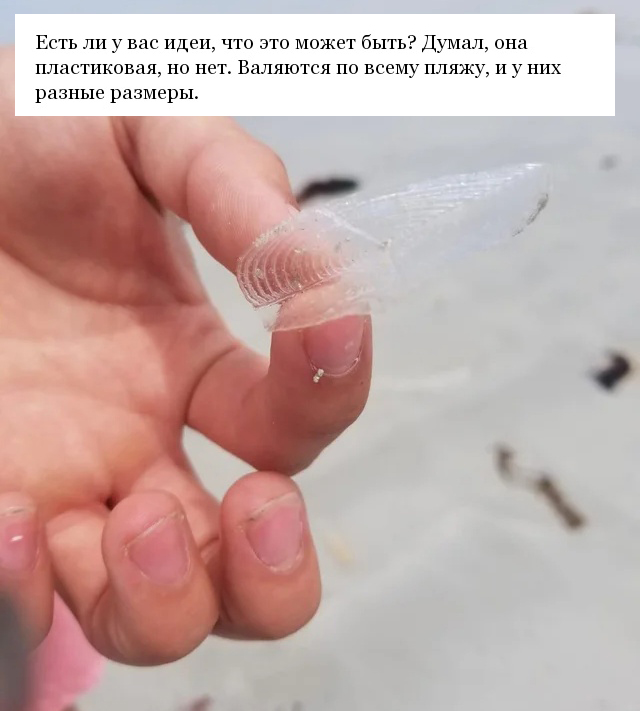 "Что это такое?" (12 фото)