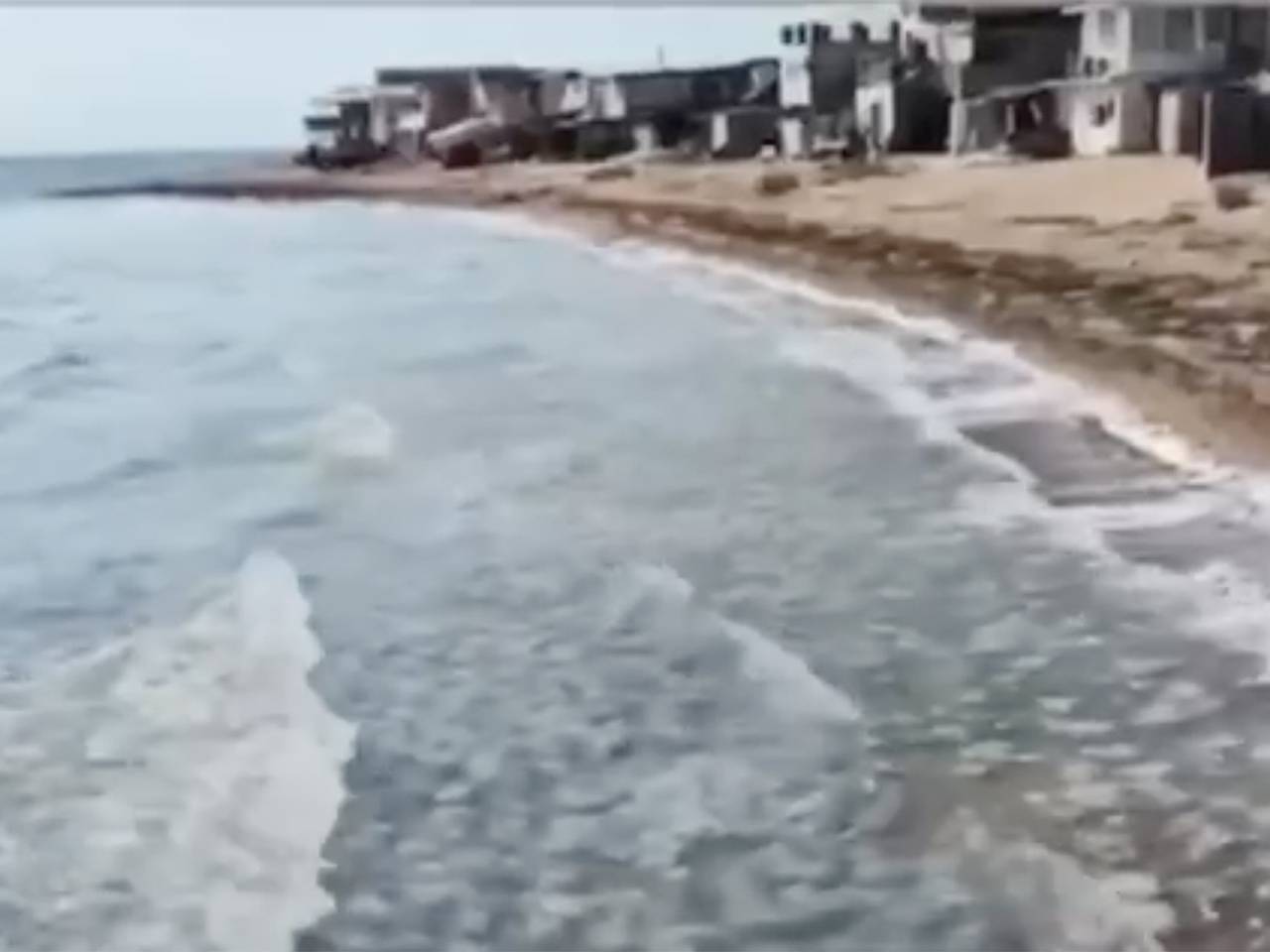 Устрашающее нашествие медуз на популярном российском курорте попало на видео