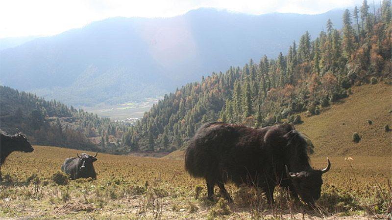 25 самых красивых и в то же время уединенных мест на планете