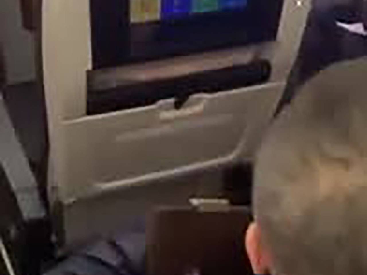 Пассажир самолета ударил попутчика по лицу за кражу сумки и попал на видео