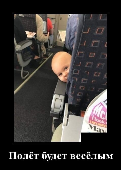 Демотиваторы на каждый день