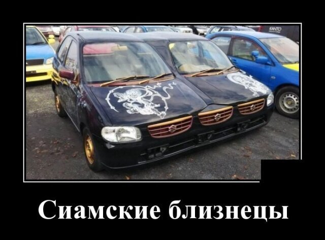 Демотиваторы на каждый день