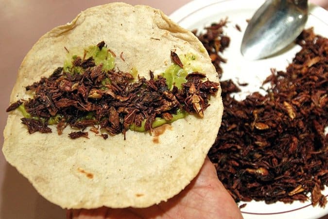 Топ 10 самых необычных блюд мира