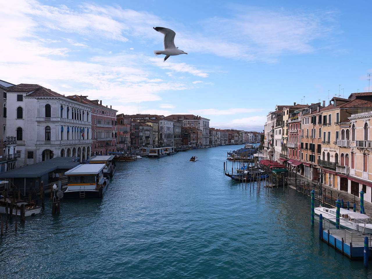 Влюбленных выгнали из туристического города Европы из-за прыжка в воду