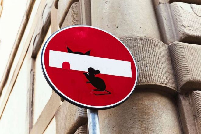 22 забавных и странных дорожных знака, которые поднимут вам настроение