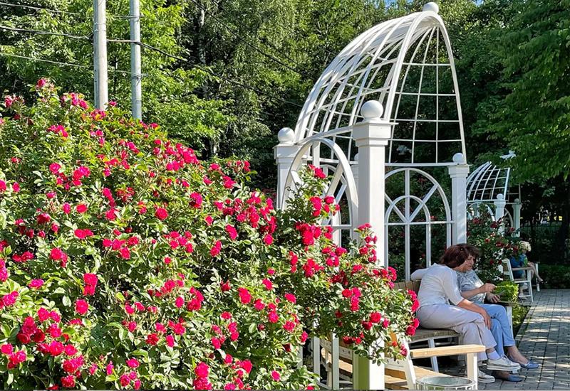 ТОП-25 идей куда сходить с девушкой в Москве: лучшие места для свиданий
