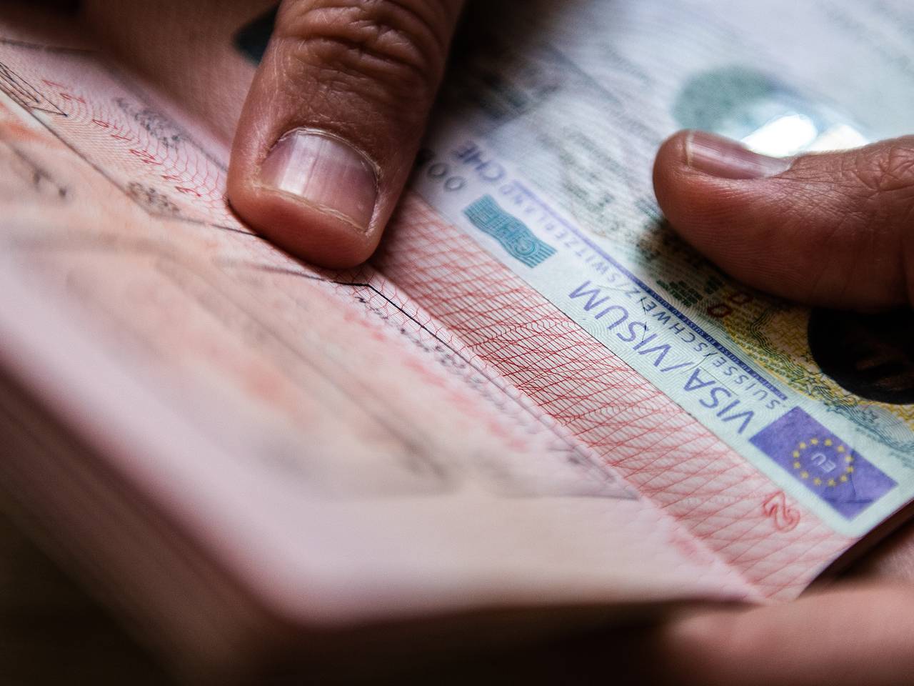 Россиянам предложили начать готовиться к получению визы в ЕС