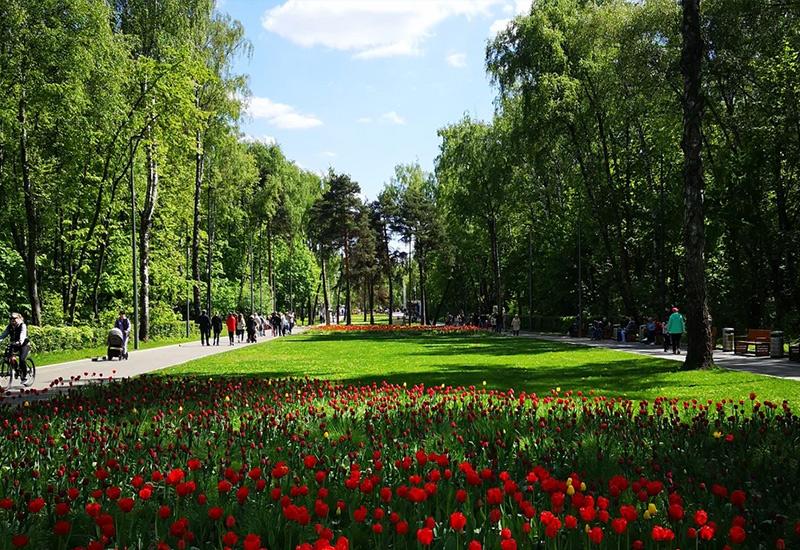 ТОП-25 идей куда сходить с девушкой в Москве: лучшие места для свиданий