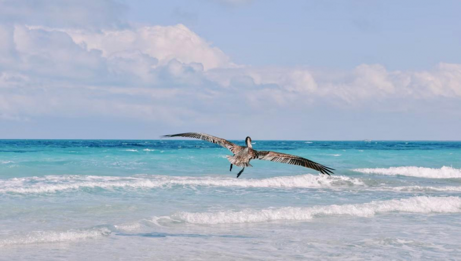Российские туристы не смогли попасть на кубинский курорт Ольгин из-за урагана Российские туристы не смогли попасть на кубинский курорт Ольгин из-за урагана
