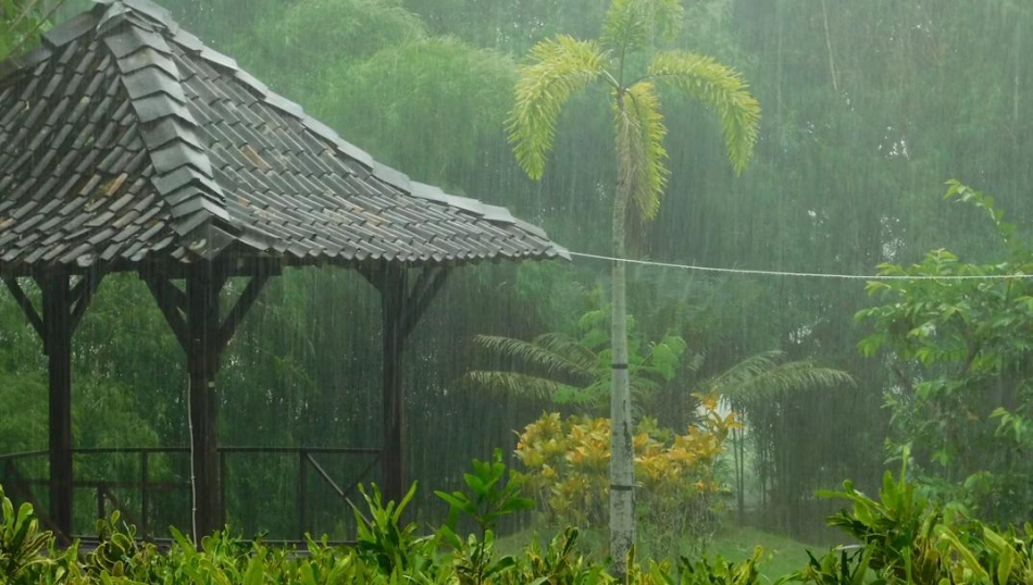 Турист отсудил у туроператора половину стоимости тура из-за наводнения в Таиланде Турист отсудил у туроператора половину стоимости тура из-за наводнения в Таиланде