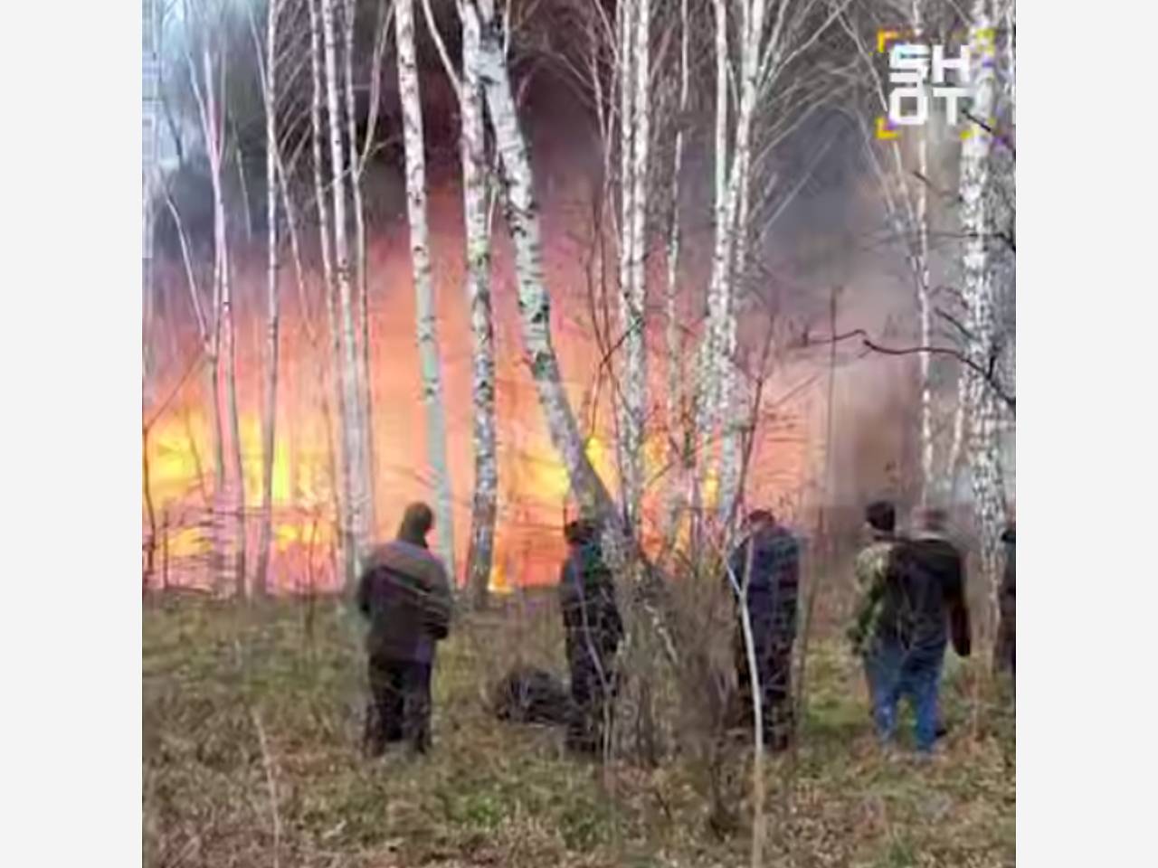 Гости российской базы отдыха сбежали от пожара в рощу и попали на видео