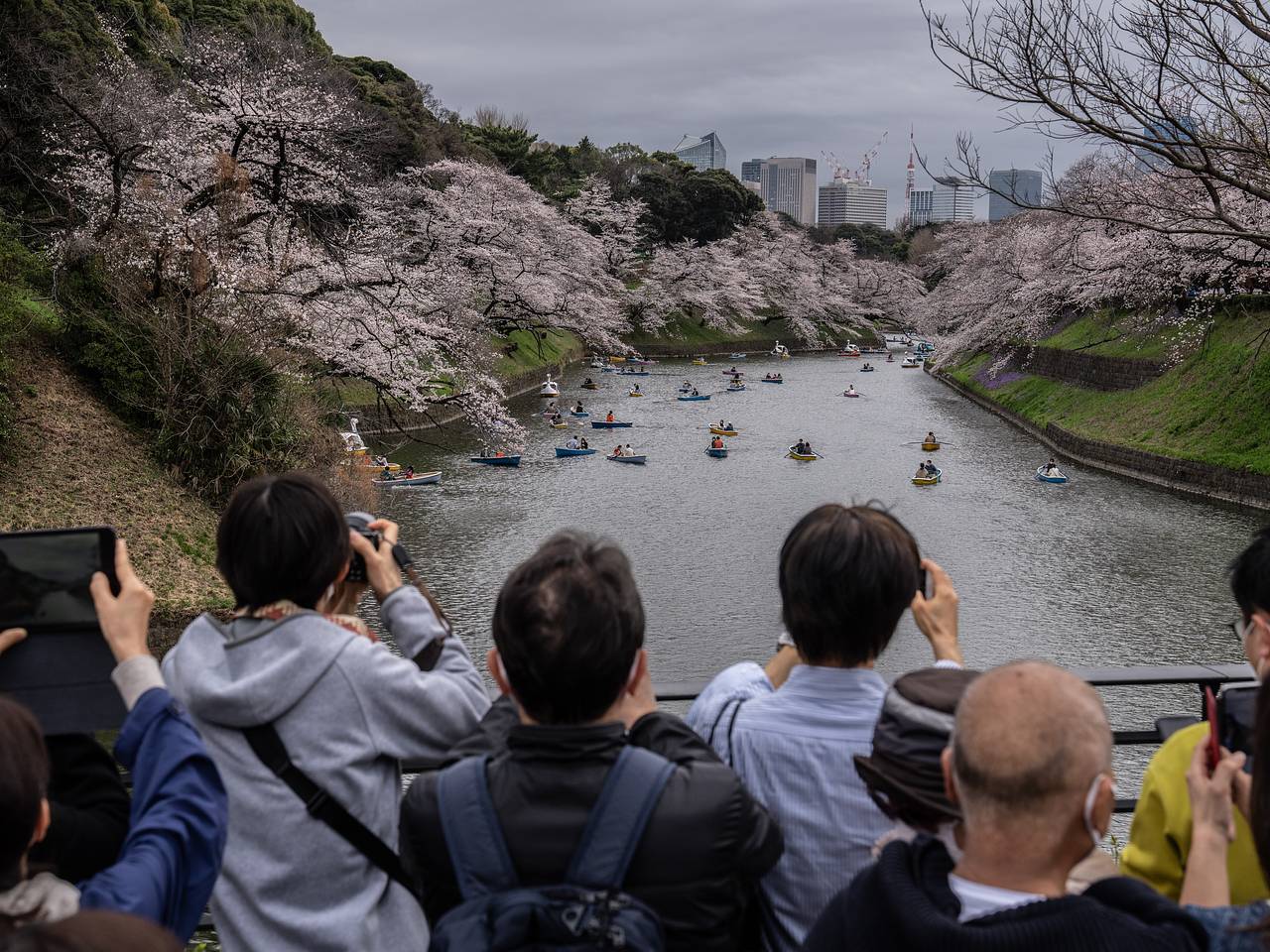 Раскрыто число российских туристов в Японии в 2025 году