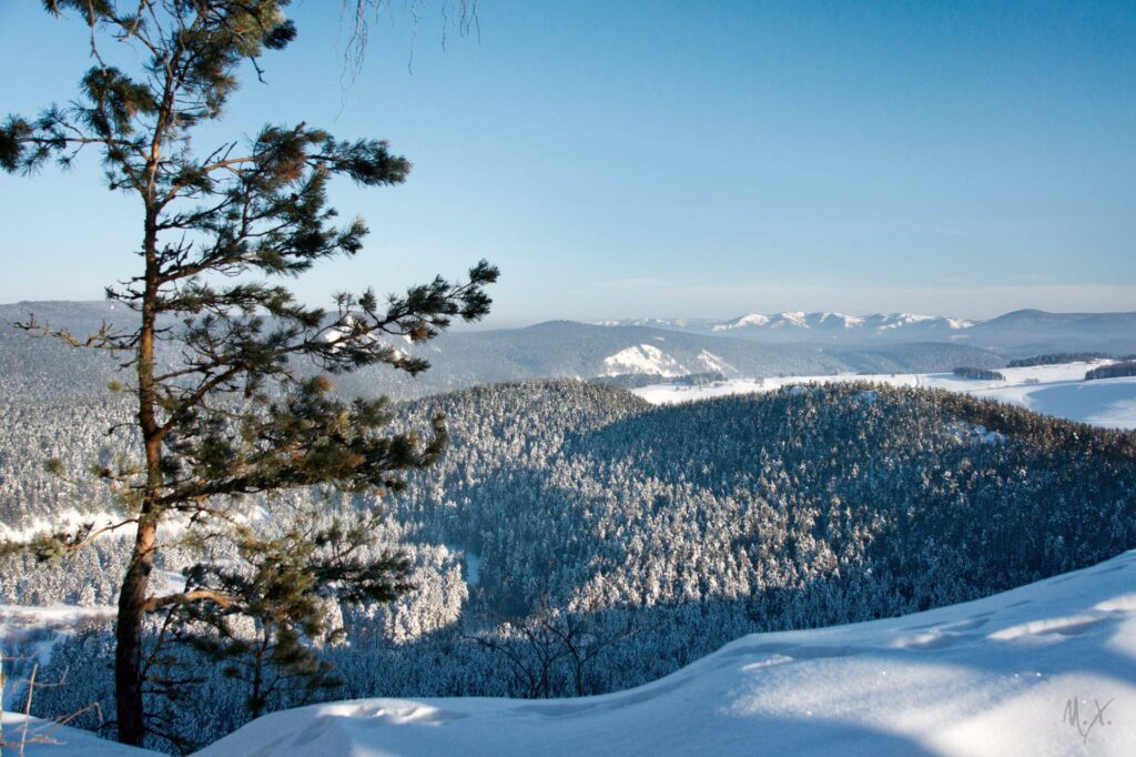 Туры по России: от Уикенда до Транссиба Туры по России: от Уикенда до Транссиба
