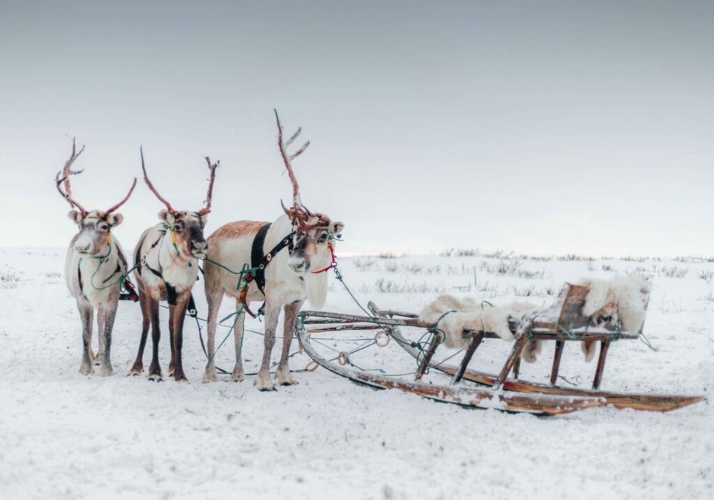 Туры по России: от Уикенда до Транссиба Туры по России: от Уикенда до Транссиба