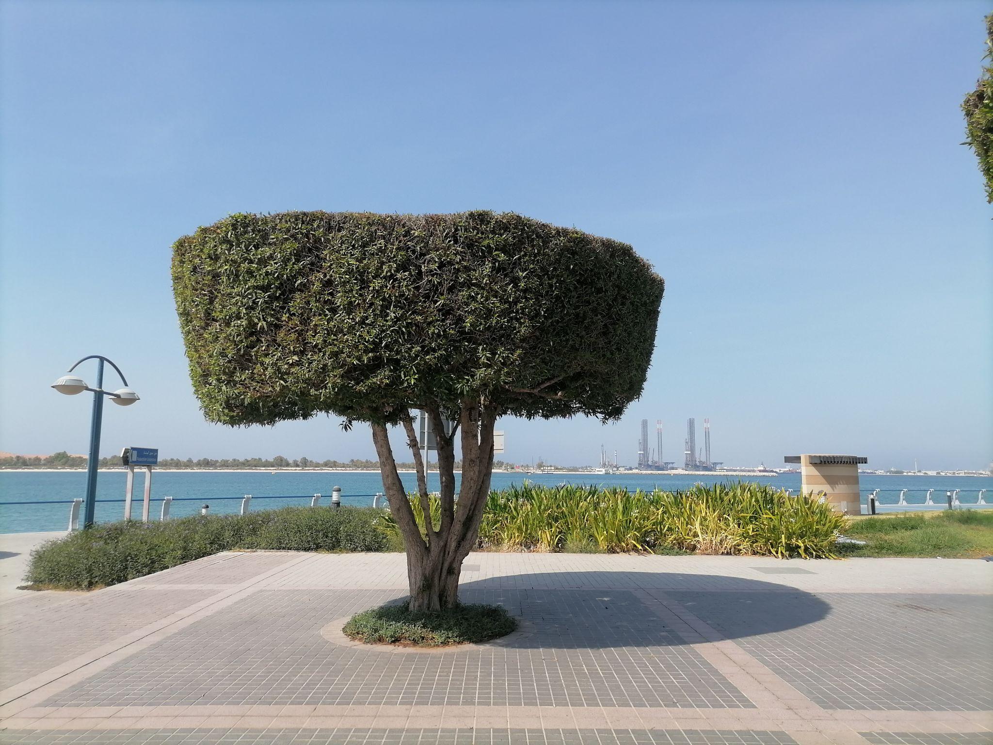 «Короткая» стыковка длиной 12 часов: что нужно знать о перелетах в Азию «Короткая» стыковка длиной 12 часов: что нужно знать о перелетах в Азию