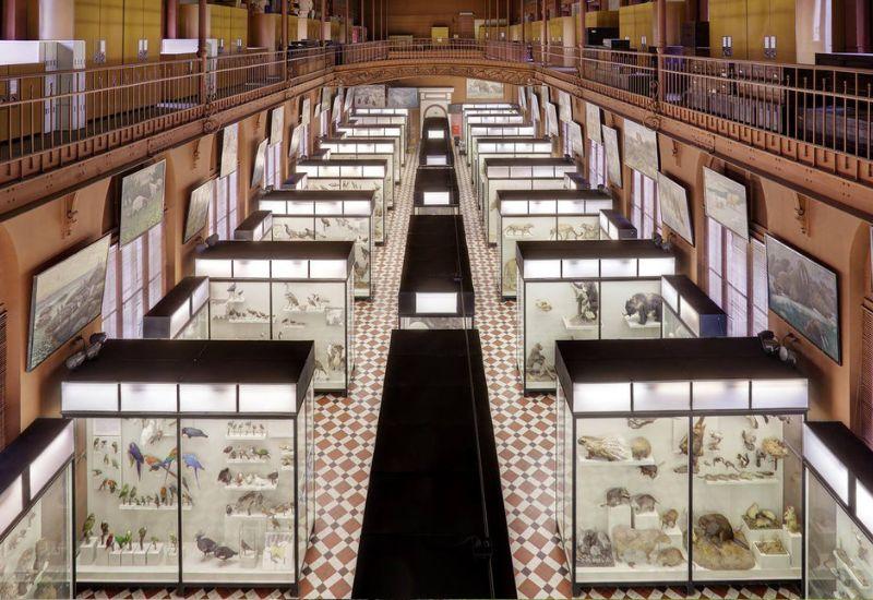 ТОП-33 лучших музея Москвы: научных, исторических, необычных, для детей ТОП-33 лучших музея Москвы: научных, исторических, необычных, для детей