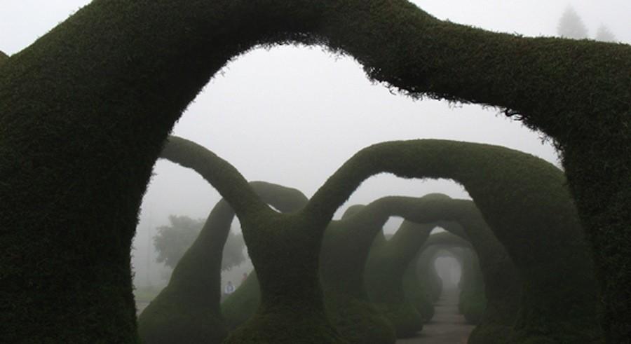 10 самых необычных парков мира