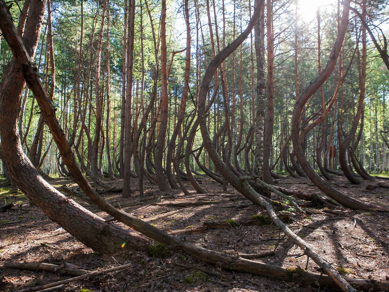 Названы самые мистические места России