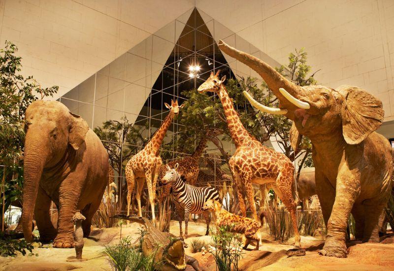 ТОП-33 лучших музея Москвы: научных, исторических, необычных, для детей ТОП-33 лучших музея Москвы: научных, исторических, необычных, для детей