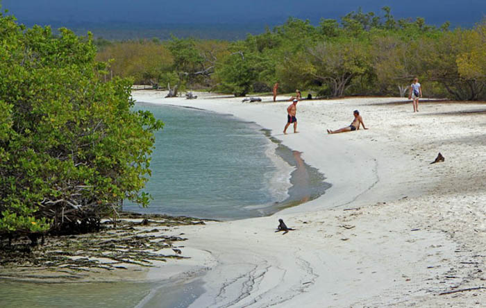 Отдых в Эквадоре на море, цены 2025