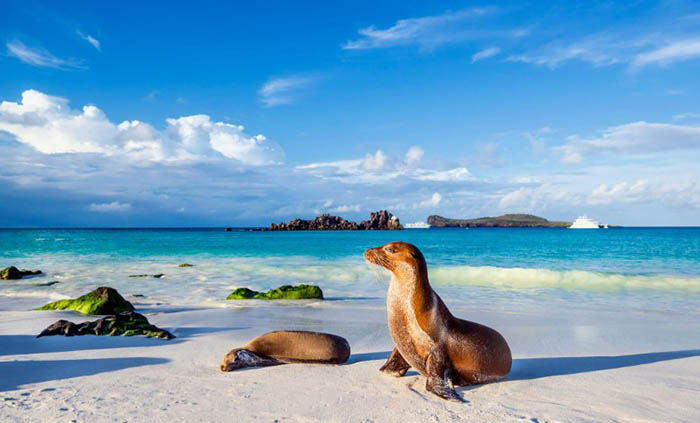 Отдых в Эквадоре на море, цены 2025