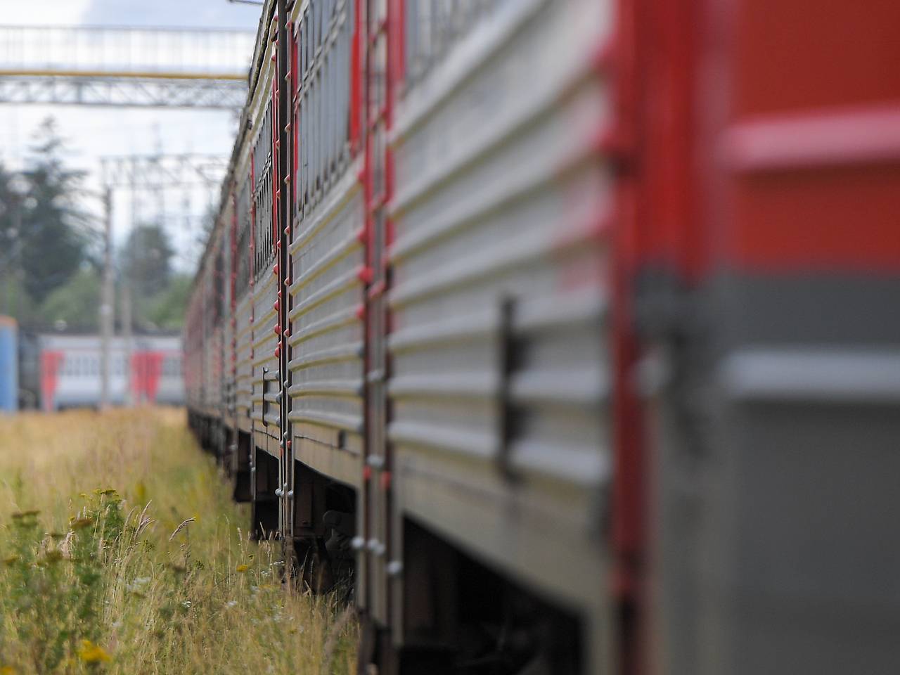 Электричка с пассажирами застряла в лесу по пути в российский город