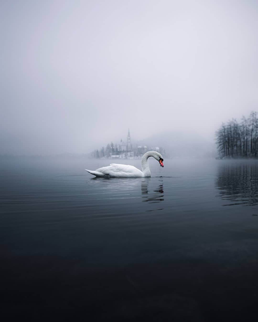 Путешествия и приключения на снимках Кинана Лама